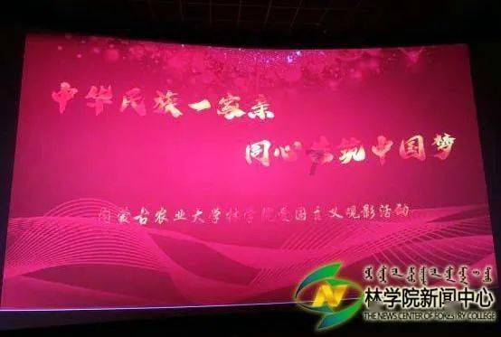 填满红色选关版